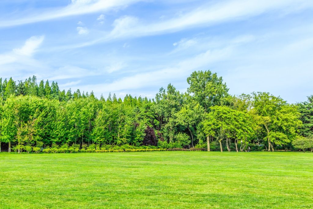 Large Scale Landscaping