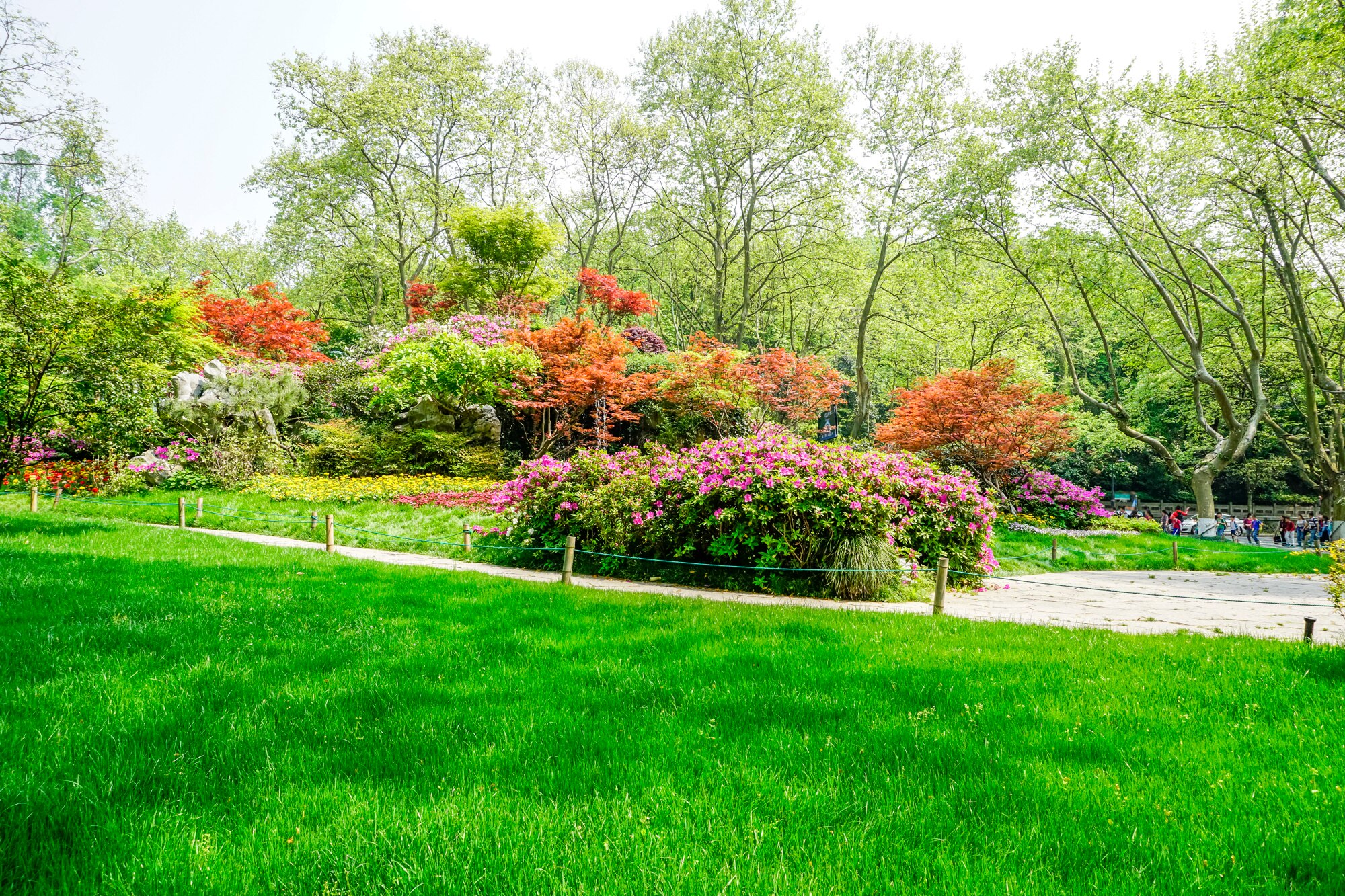 Techniques for Large Scale Landscaping