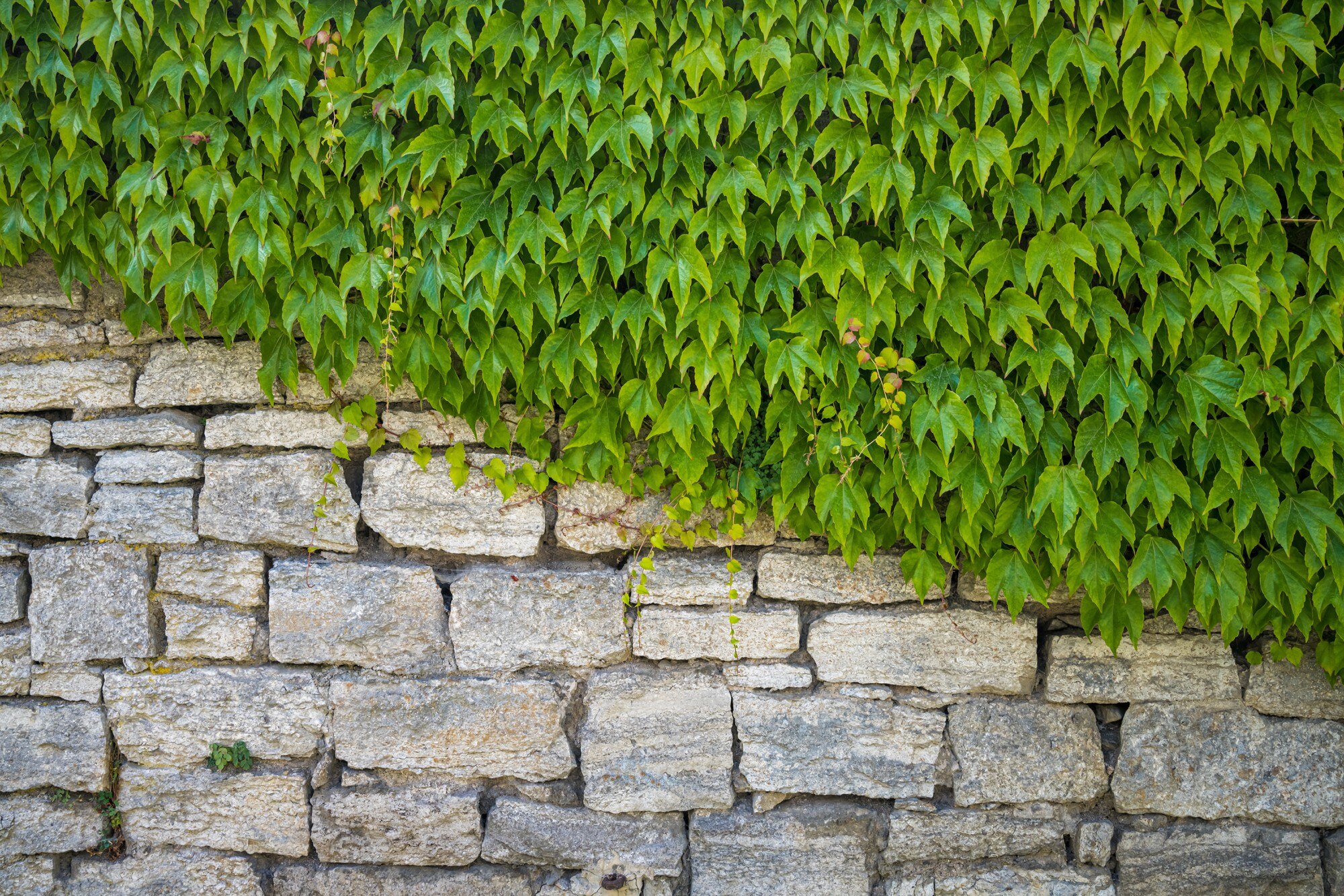 Retaining wall