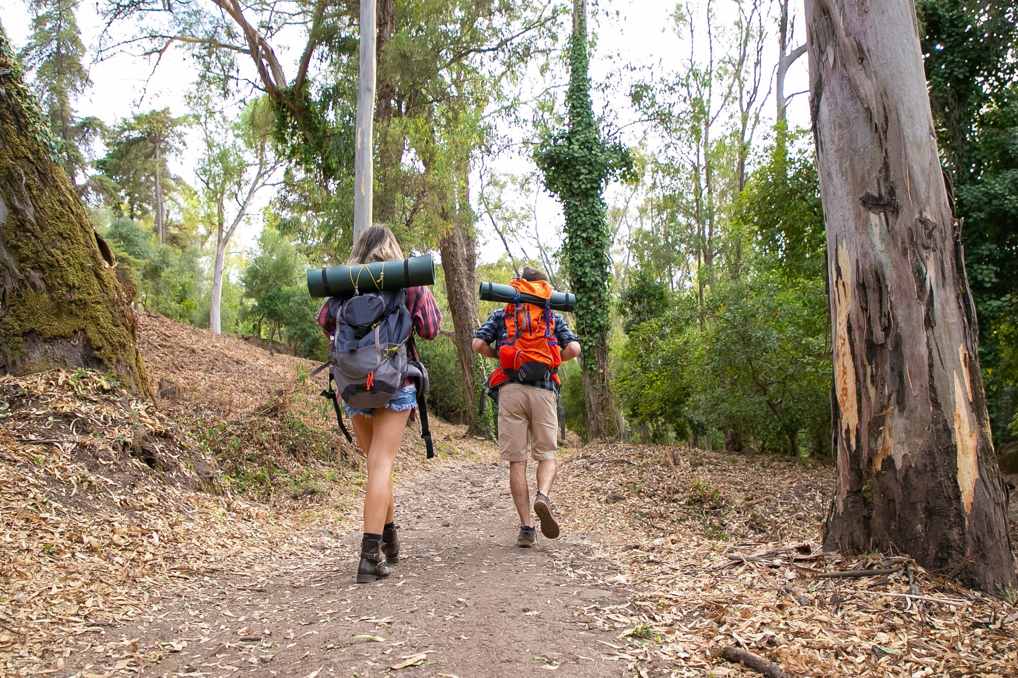 Bunya mountains hikers