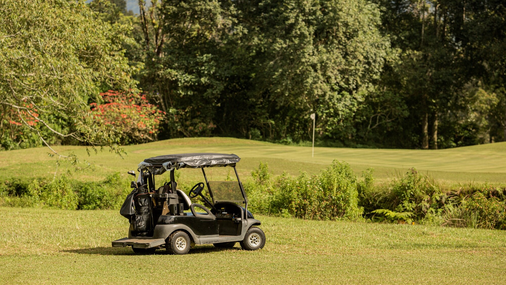 Are Lithium Golf Cart Batteries Worth it?